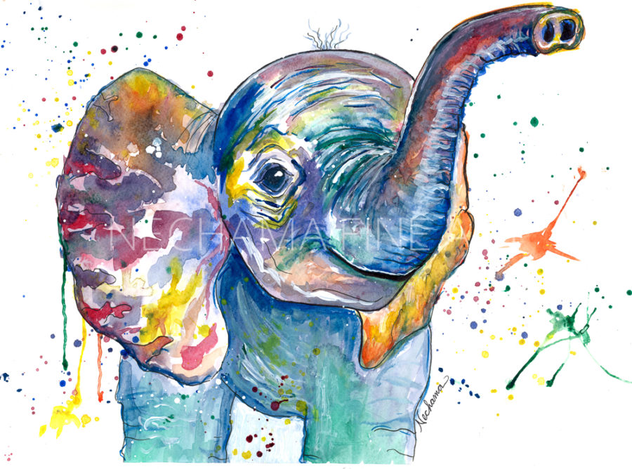 Set - Watercolor Animals